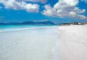 Sardinia Holiday Apartment - For Rent by Owner